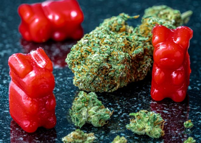 THC-infused foods: Your burning questions addressed