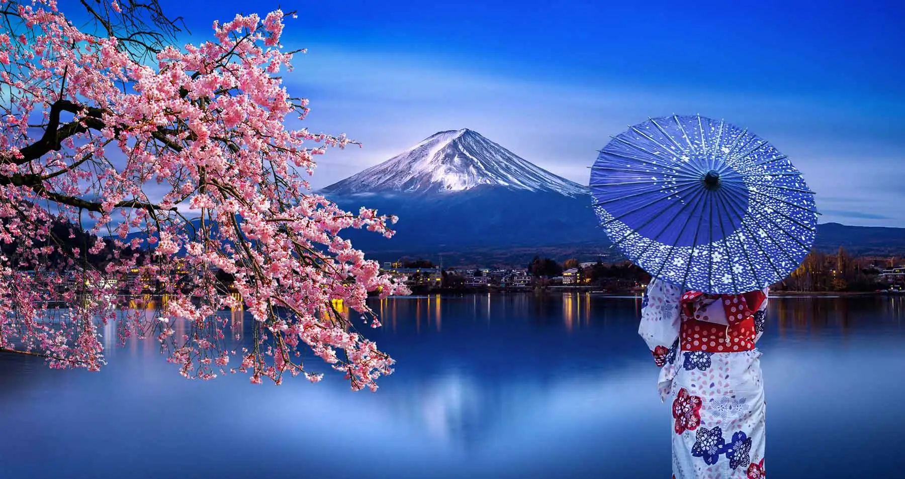 japan travel requirements