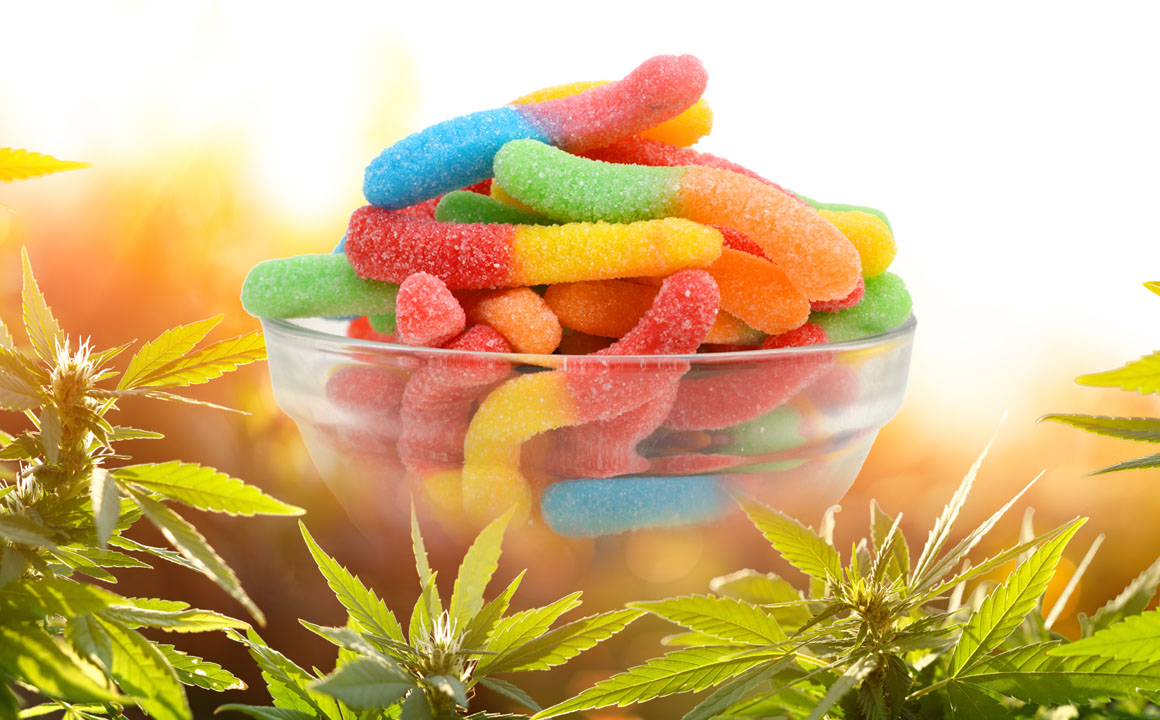Delta-8 Gummies and Their Impact on Chronic Pain Management